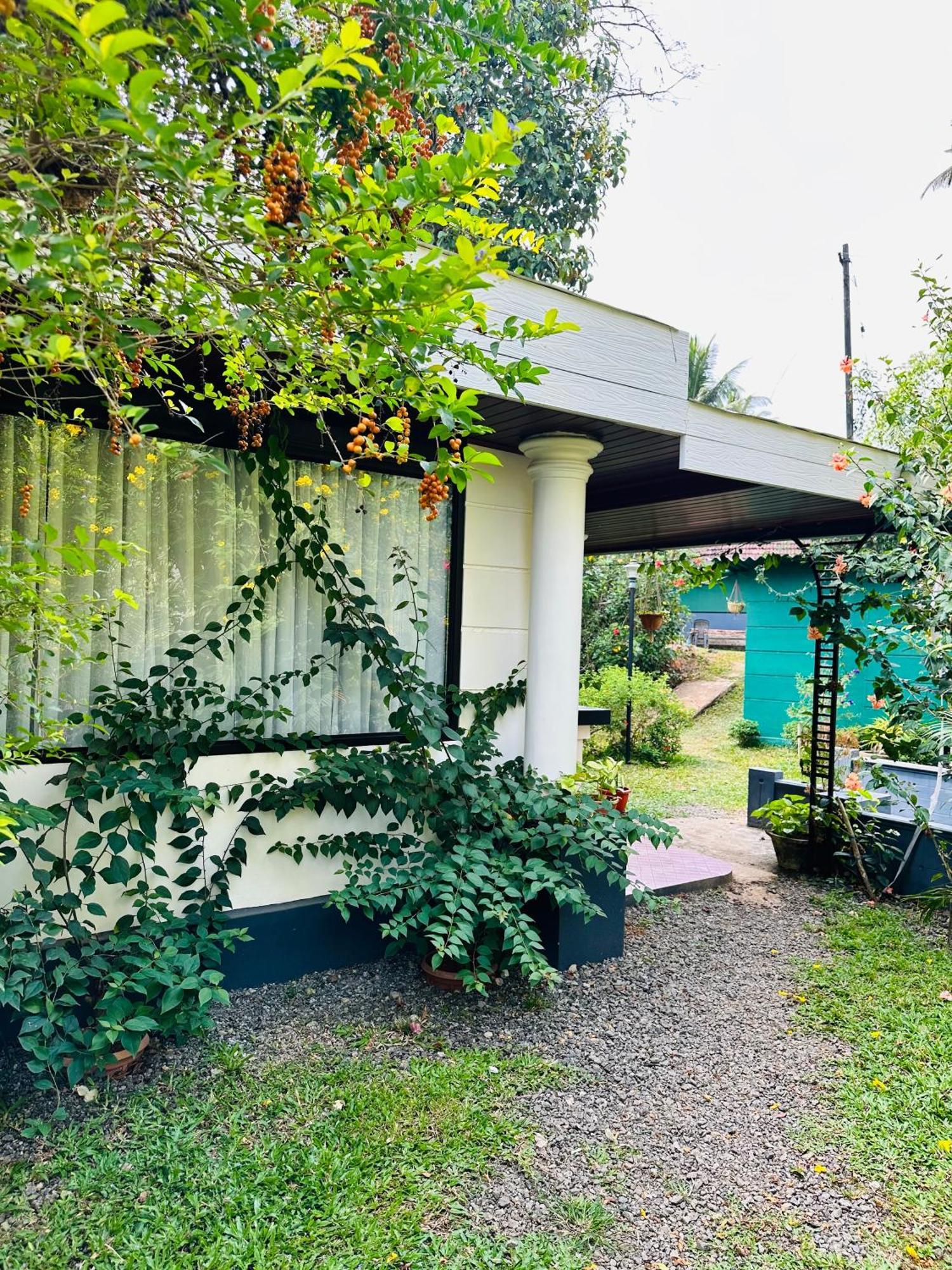 Thoppil Homestay Муннар Екстер'єр фото